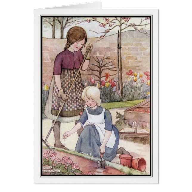 Zaaigoed van Anne Anderson (Voorkant)