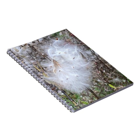 Zaaigoed van milroos en spiraalvormige zijde notitieboek (Rechterzijde)