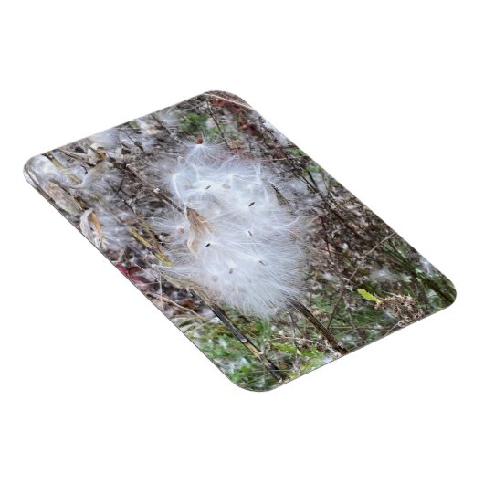 Zaaigoed van milroos en zijde flexibel magneet (Rechterzijde)