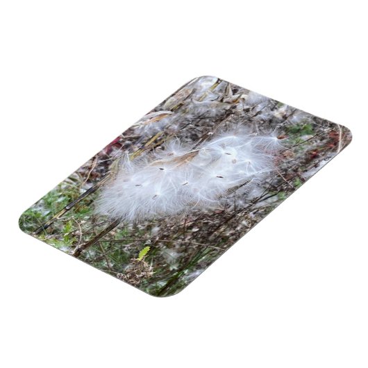 Zaaigoed van milroos en zijde flexibel magneet (Linkerzijde)