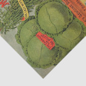 Zaaigoed van  zaaigoed tissuepapier (Detail)
