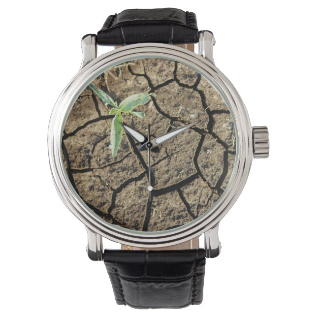 Zaailing in gebarsten aarde horloge (Voorkant)
