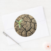 Zaailing in gebarsten aarde ronde sticker (Envelop)