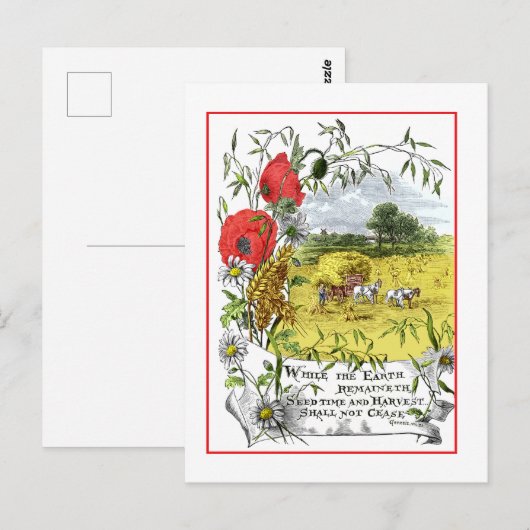 Zaaitijd en Oogst Briefkaart (Voorkant / Achterkant)