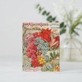 Zaaizaad van salzer briefkaart (Staand voorkant)