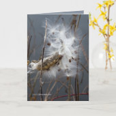 Zaaizaad van zijderupsen kaart (Gele Bloem)