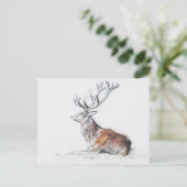 Zaakte Stag 2006 Briefkaart (Staand voorkant)