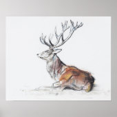 Zaakte Stag 2006 Poster (Voorkant)