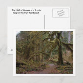 Zaal van Mosses in Hoh Rainforest Briefkaart (Voorkant / Achterkant)