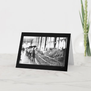 Zacatecas, Mexico Food Market 1904 Kaart