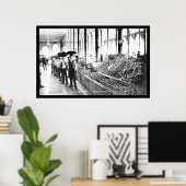 Zacatecas, Mexico Food Market 1904 Poster (Thuiskantoor)