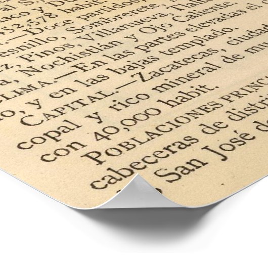 Zacatecas, Mexico Poster (Hoek)