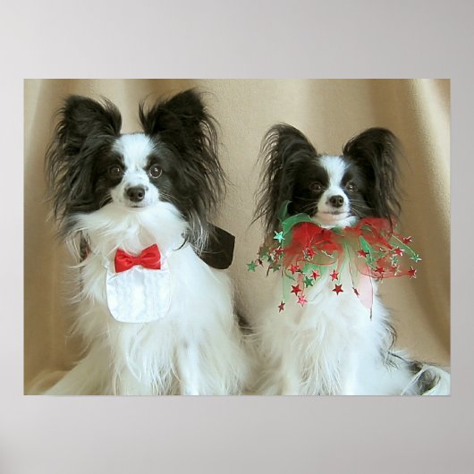 ZACH nab CLAIRE Poster (Voorkant)