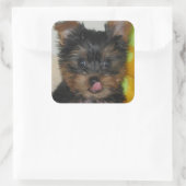 Zach Pup Sticker (Tas)