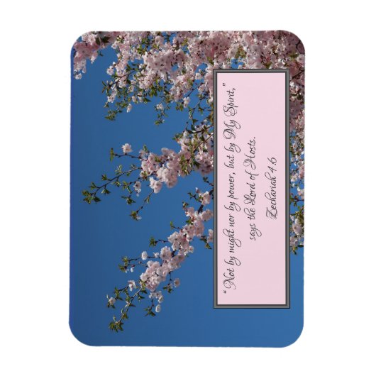 Zacharia 4 kersenboom magneet (Verticaal)