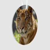 Zachariah - ornament (voorkant)