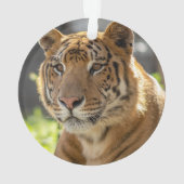 Zachariah - ornament (achterkant)