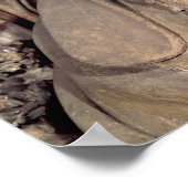 Zacharias Poster (Hoek)