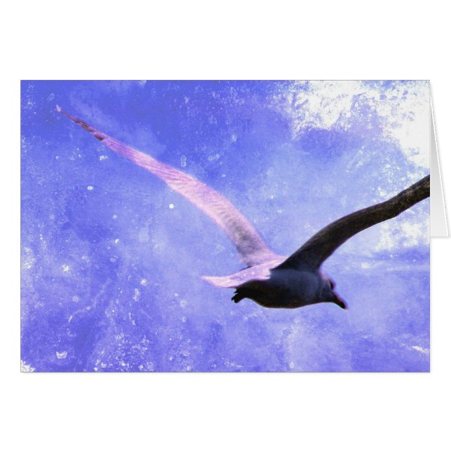 Zacht alle keren (Voorkant Horizontaal)