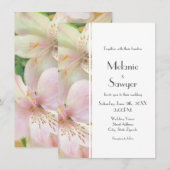 Zacht Alstromera schilderij Kaart (Voorkant / Achterkant)