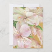 Zacht Alstromera schilderij Kaart (Achterkant)