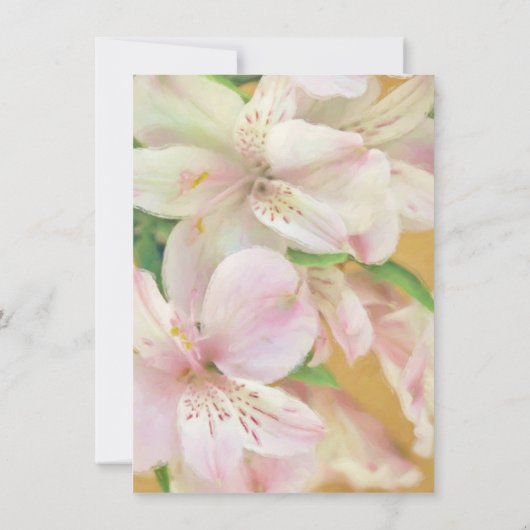 Zacht Alstromera schilderij Kaart (Achterkant)