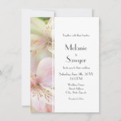 Zacht Alstromera schilderij Kaart (Voorkant)