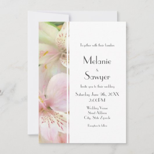 Zacht Alstromera schilderij Kaart (Voorkant)