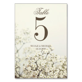Zacht  Baby's Breath Trouwtafel Nummer Kaart