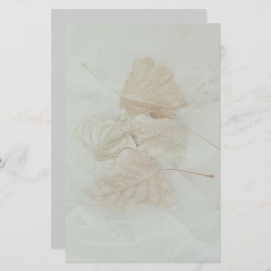 Zacht beige warme achtergrond abstract briefpapier (Voorkant / Achterkant)