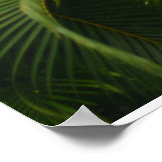 zacht bereik poster (Hoek)