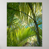 zacht bereik poster (Voorkant)