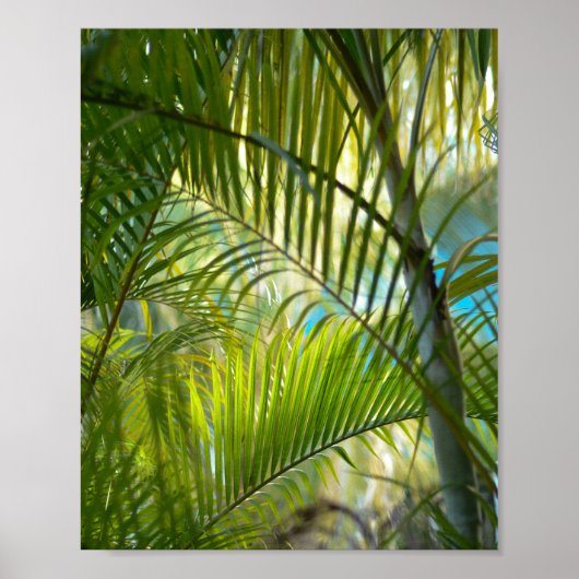 zacht bereik poster (Voorkant)