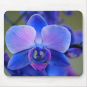 Zacht blauw en roze orchidee Mousepad Muismat (Voorkant)