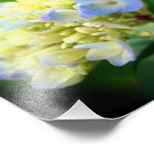 Zacht Blauw Hydrangea Bloembladeren 8x10 Foto Afdruk (Hoek)