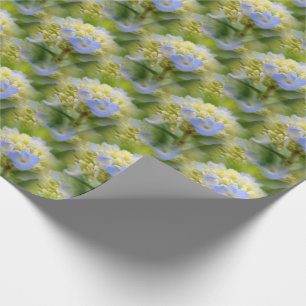 Zacht blauwe hydrangea ventilatorpatroon Natuur Cadeaupapier