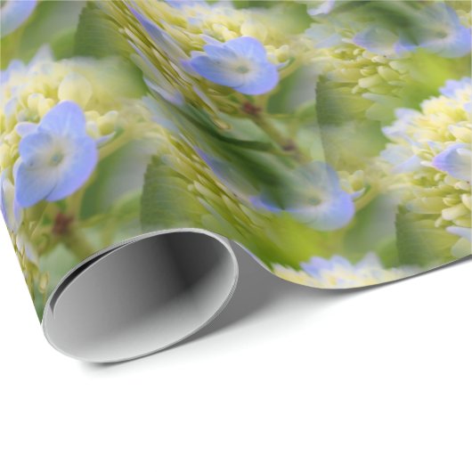 Zacht blauwe hydrangea ventilatorpatroon Natuur Cadeaupapier (Rol Hoek)