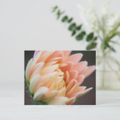 zacht Briefkaart (Staand voorkant)