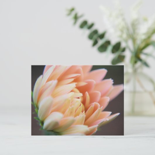 zacht Briefkaart (Staand voorkant)