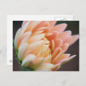 zacht Briefkaart (Voorkant / Achterkant)