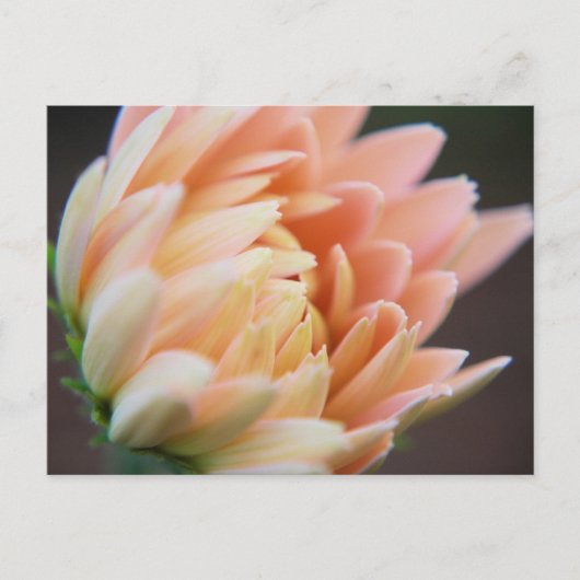 zacht Briefkaart (Voorkant)