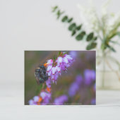 Zacht Briefkaart (Staand voorkant)