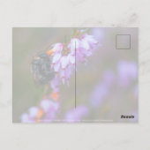 Zacht Briefkaart (Achterkant)