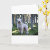 zacht caoted wheten terriërhoogtepunt in bos kaart (Gele Bloem)