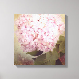 Zacht de Zomer 2 doorboren de Zangvogels Hydrangea Canvas Afdruk