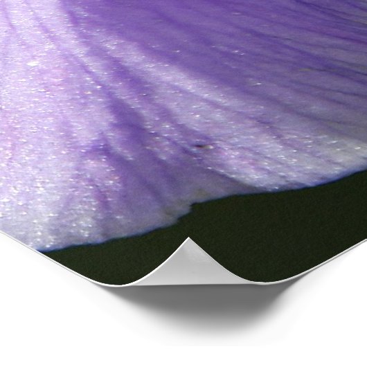 Zacht en fijn poster (Hoek)