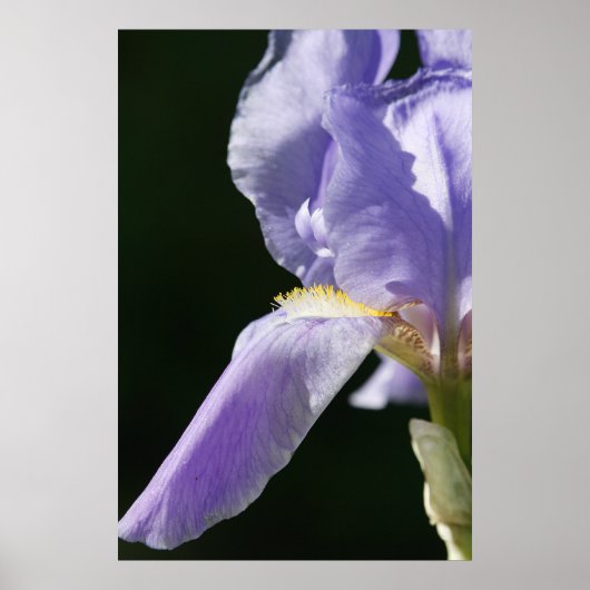 Zacht en fijn poster (Voorkant)