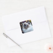 Zacht- en fluffy ragdoll-kat vierkante sticker (Envelop)