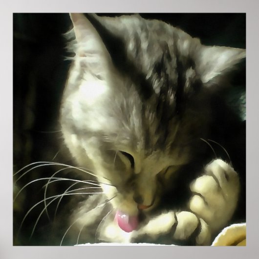 Zacht en gulzend, Gesponnen op een grijze kat Poster (Voorkant)