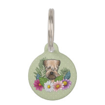 Zacht Gecoatde Wheaten Terrier Kop Kleurrijke Bloe